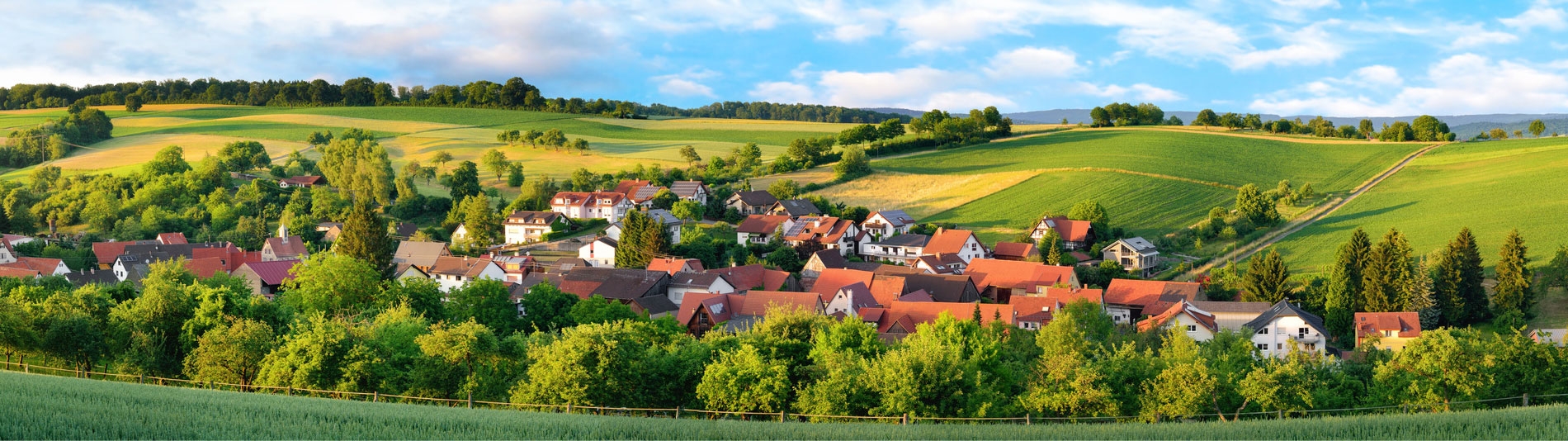 Sachverständigen- & Ingenieurbüro Wagner für Forstwirtschaft & Grundstücksbewertung in Bautzen 